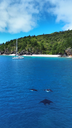 dji_fly_20240813_102500_134_1723937767883_photo_optimized.webp